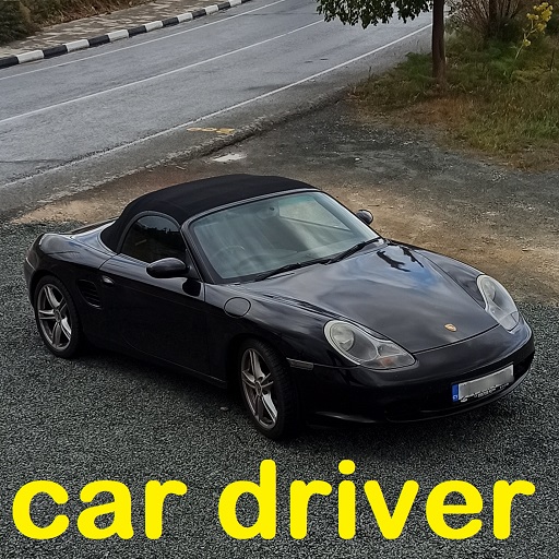 Car Driver Game icon