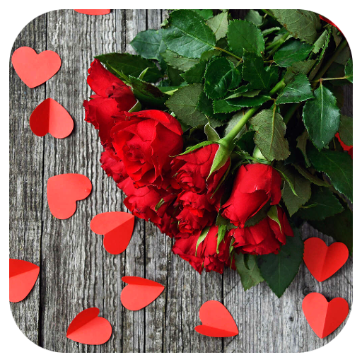 Flowers HD Wallpaper أيقونة