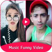 Funny Videos for Social Media