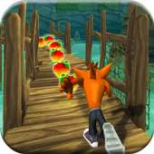 Lost Temple Bandicoot Fun