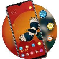 Auspicious to send Good Luck More Money bird theme