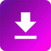 Mini Video Downloader