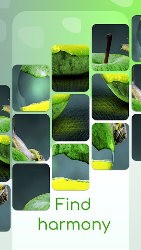 FaceTo Mini screenshot 5