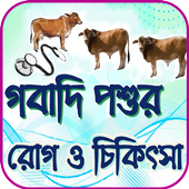 গবাদি পশুর রোগ ও চিকিৎসা icon