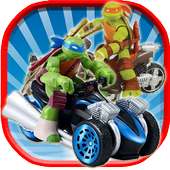 Ninja : Turtles Funny Games