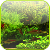 Real Aquarium Wallpaper icon