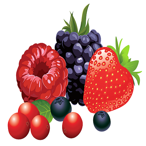 fruits word search icon