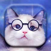 Cute Cat Theme icon