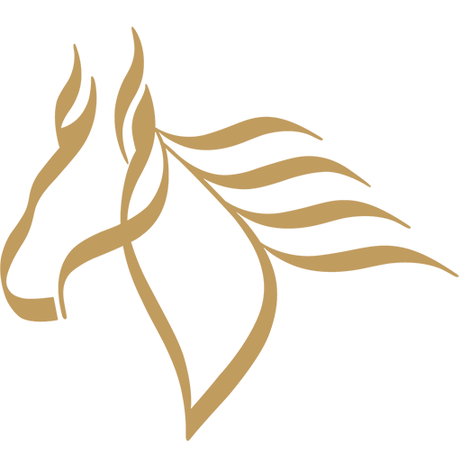 Arabian Centres icon