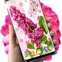 Spring Live Wallpaper 🌞 Summer Flower Wallpapers