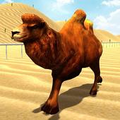 Wild Camel Racing Simulator icon