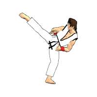 Final Karate (free)