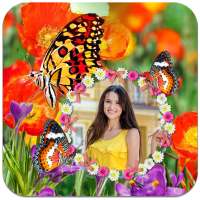 Butterfly Photo Frames HD on 9Apps