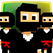 Ninja Craft icon