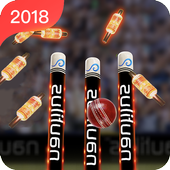 Real Cricket™ 2K18 info icon