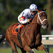 Horse racing India icon