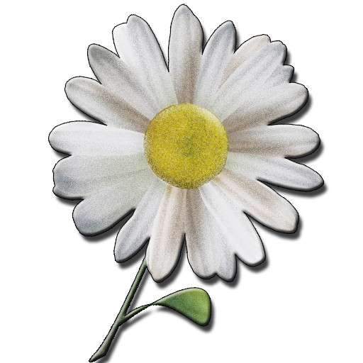 Daisy of Love - game for girls icon