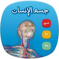 Human Anatomy AR on 9Apps