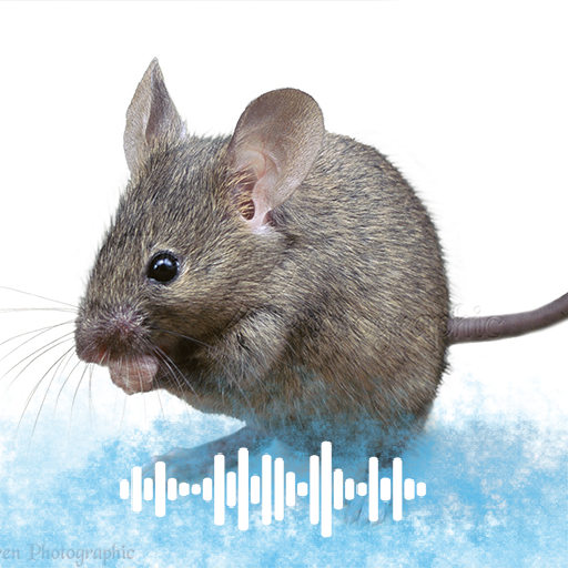 Mouse sounds Ringtones icon