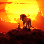Wallpapers HD For the Lion King 2019 icon