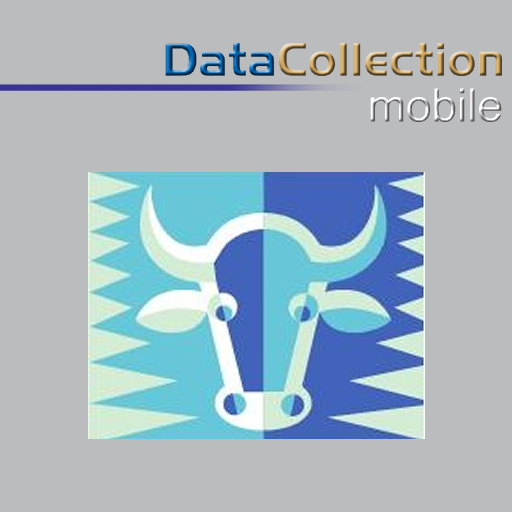 Datacollection Mobile icon