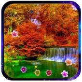 Autumn Live Wallpaper on 9Apps