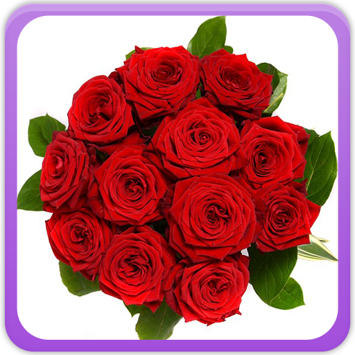 Roses Gallery icon