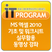 MS 엑셀 2010 기초및 워크시트 실무 동영상 강의 icon
