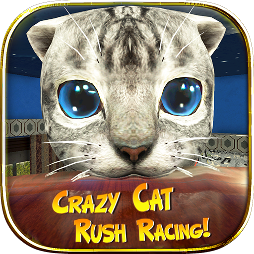 Crazy Cat Rush Racing Run Kitty Craft icon