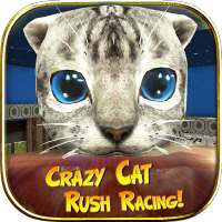 Crazy Cat Rush Racing Run Kitty Craft