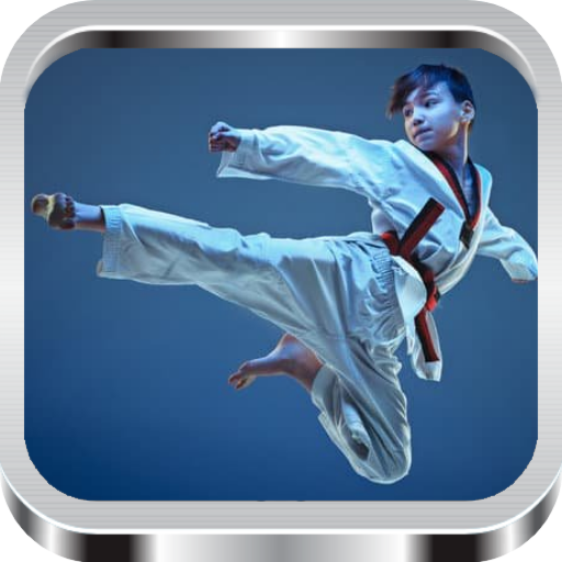 Karate training - techniques icon