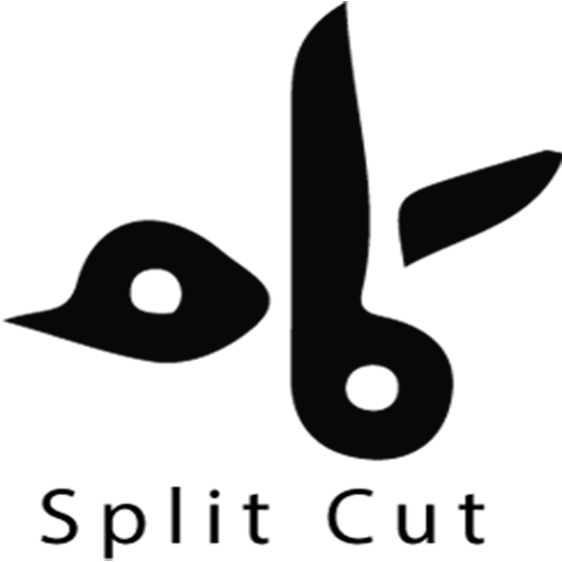 Split Cut icon
