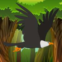 Eagle Bird Hunter