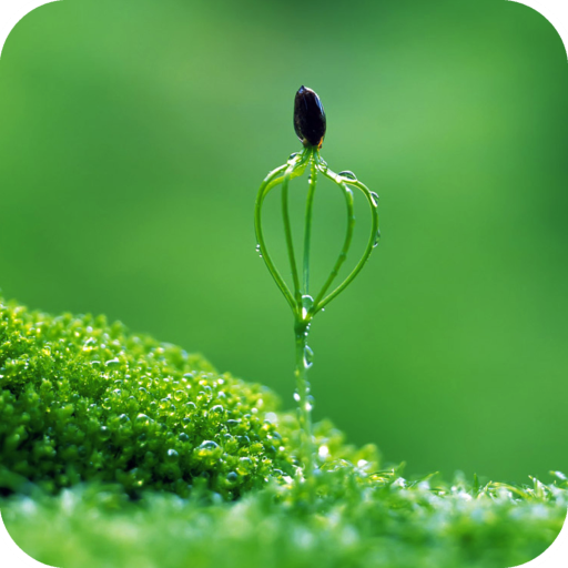 Green Wallpaper Best HD icon