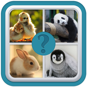 4 PICS 1 WORD  PUZZLE icon