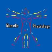 Muscle Physiology icon