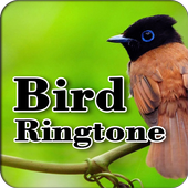 Bird Ringtone icon