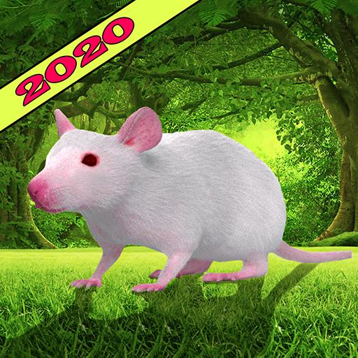 Forest Mouse Simulator 2019 - Crazy Rat Simulator icon
