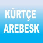 KÜRTÇE 50 ŞARKI-ARABESK-DİNLE-İNTERNETSİ icon