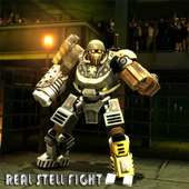 Kunzite For Reall Steell Fight