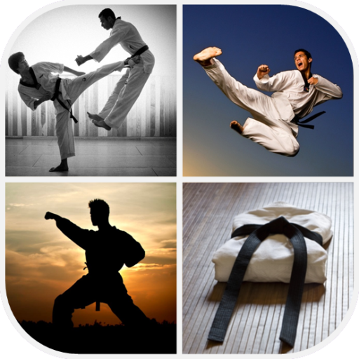 Martial Arts Wallpaper icon