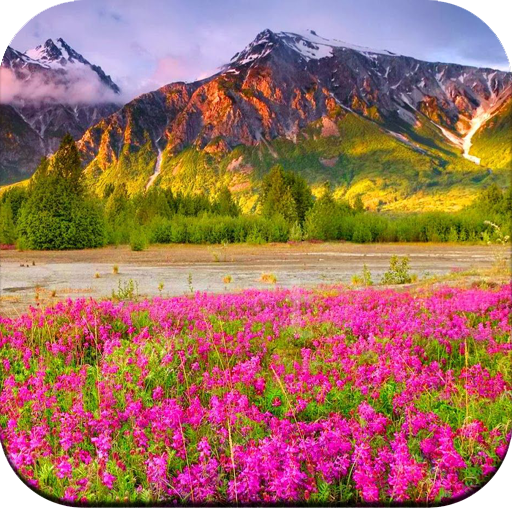 Scenery Wallpaper HD icon