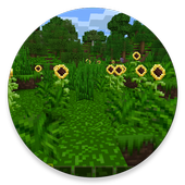 MyCraft: Craft candy blocks icon