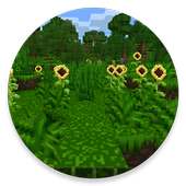 MyCraft: Craft candy blocks