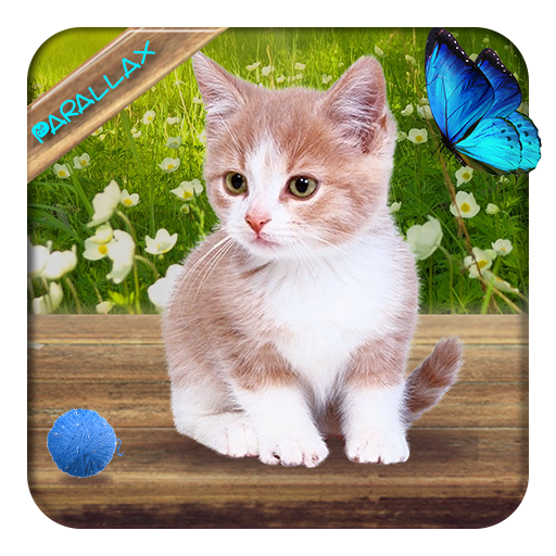 Cute Lovely Cat APUS Live Wallpaper icon
