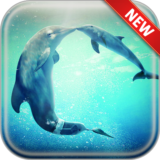 Dolphin Wallpapers icon