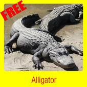 Alligator icon