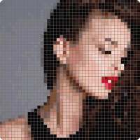 Bricks Pixel Camera - Brick Yourself on 9Apps