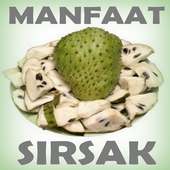 Manfaat dan Khasiat Sirsak on 9Apps