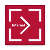 ikon MSX Play: Internal